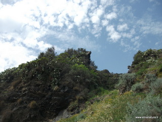 Acqua del Ferro